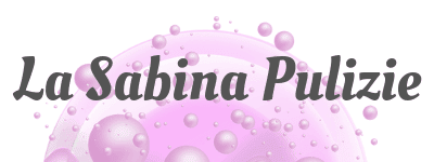 cropped-Logo_La-Sabina-Pulizie.png